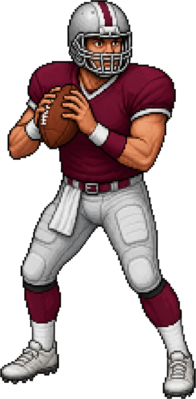 8-bit ball carrier